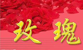 玫瑰花圖片
