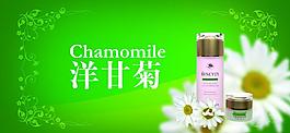洋甘菊 護(hù)膚品海報圖片