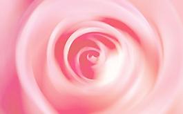 玫瑰花底纹图片