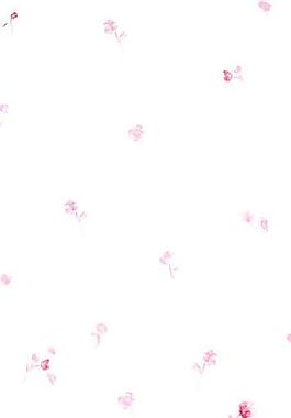 玫瑰花圖片