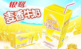 银鹭麦香牛奶图片