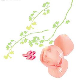 玫瑰花瓣圖片