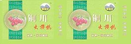 樱桃手提袋图片