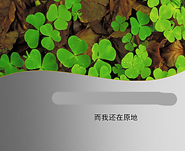 三葉草PPT模板