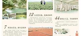 中国劲酒三折页PSD分层模板
