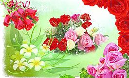 玫瑰花素材圖片