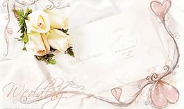 情人節白色玫瑰愛心設計圖片