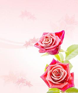 鮮紅玫瑰花玻璃門圖案圖片