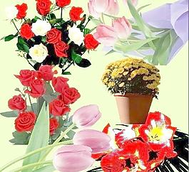 百合花 玫瑰花圖片