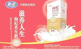 枸杞養(yǎng)生奶圖片