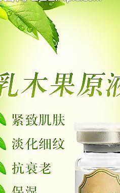 乳木果原液海报图片