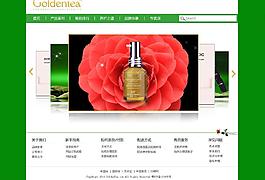 綠色風格護發產品網站首頁psd模板圖片