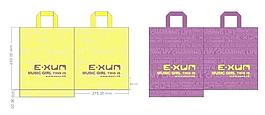 exwm 手提袋設(shè)計(jì)圖片