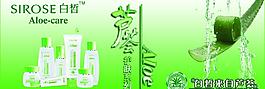 白皙蘆薈系列圖片