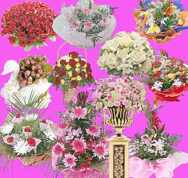 鮮花圖片