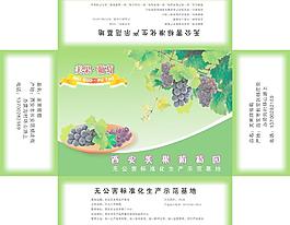 葡萄盒子圖片