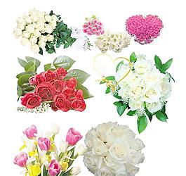 鮮花圖片