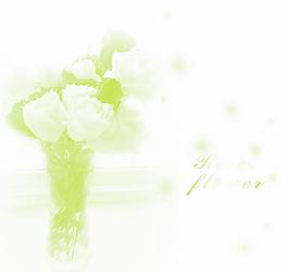 唯美花朵圖片