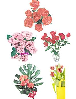 鮮花圖片