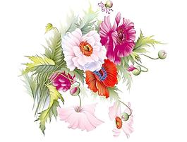 花朵素材图片