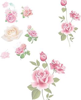 花朵图片