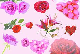 花素材图片