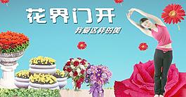 花世界圖片