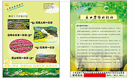 春季旅游