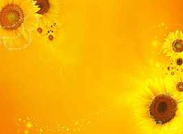 太陽花