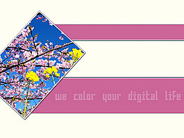 粉色桃花PPT模板