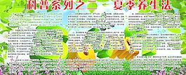 夏季养生法图片