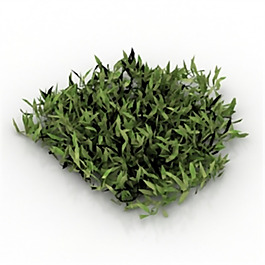 3D綠色植被