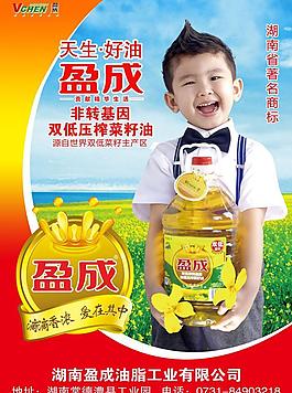 盈成菜籽油海報(bào)廣告PSD素材