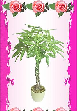 花圖圖片