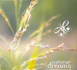 夏季旅游 植物圖片