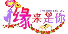 緣來是你圖片