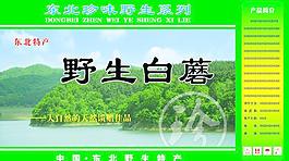 蘑菇 包裝圖片