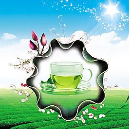 創(chuàng)意自然茶文化圖片素材