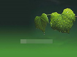绿叶上的雨滴ppt模板