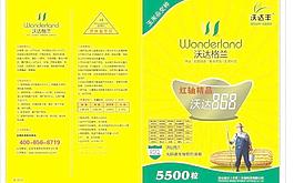 玉米包装图片