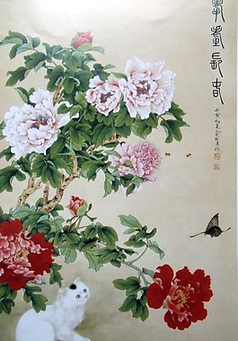 多色牡丹