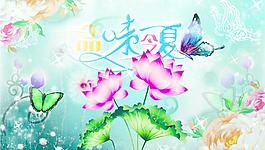 品味夏天图片