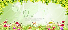 美好的夏天图片