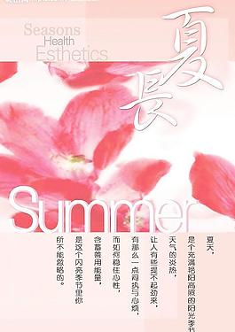 夏天的櫻花圖片