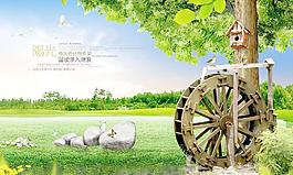 綠色風(fēng)景 夏天圖片