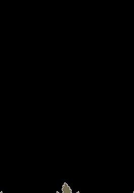 面料設(shè)計 墻紙設(shè)計圖片