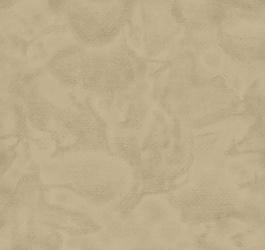 面料設(shè)計 墻紙設(shè)計圖片