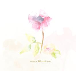 水彩花朵圖片