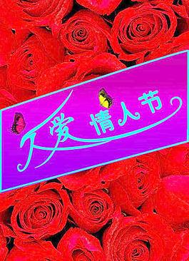 情人節(jié)圖片
