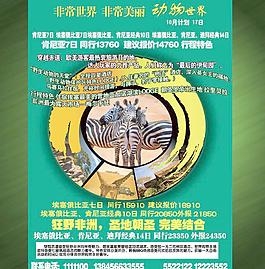 旅游 海報(bào)圖片